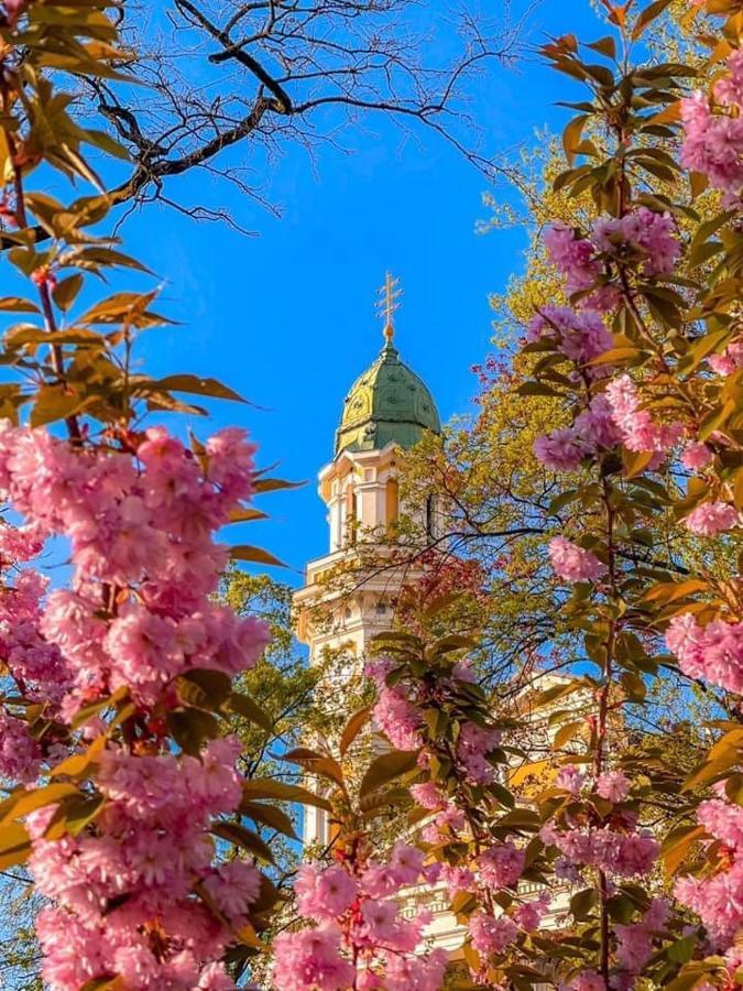 Старовинні Апартаменти У Центрі Міста Ужгород Екстер'єр фото